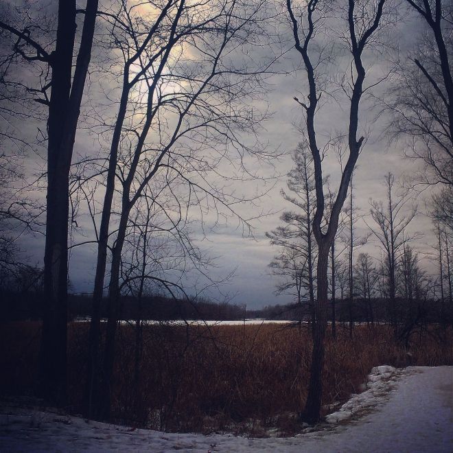 The winter light is moody, blue, sad, and beautiful.